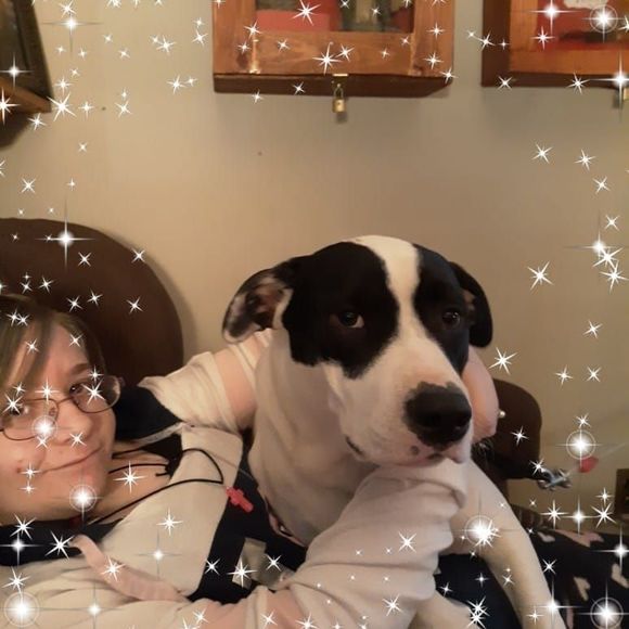 Meet your Posher, Ayana - Picture 1 of 1